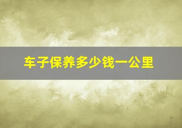 车子保养多少钱一公里