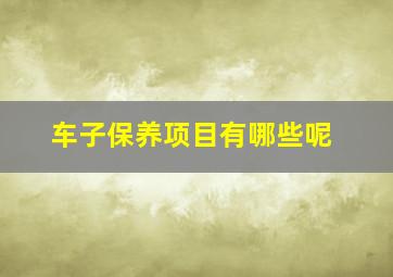 车子保养项目有哪些呢