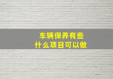 车辆保养有些什么项目可以做