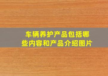 车辆养护产品包括哪些内容和产品介绍图片