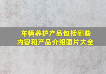 车辆养护产品包括哪些内容和产品介绍图片大全