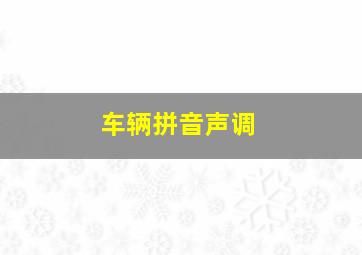 车辆拼音声调