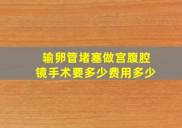 输卵管堵塞做宫腹腔镜手术要多少费用多少