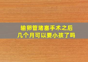 输卵管堵塞手术之后几个月可以要小孩了吗