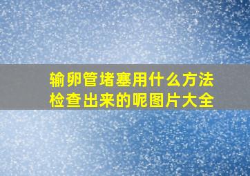 输卵管堵塞用什么方法检查出来的呢图片大全