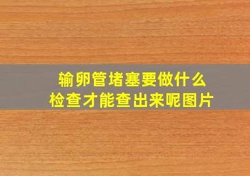 输卵管堵塞要做什么检查才能查出来呢图片