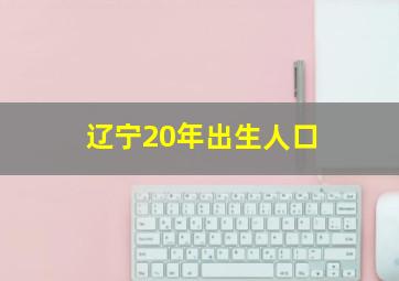 辽宁20年出生人口