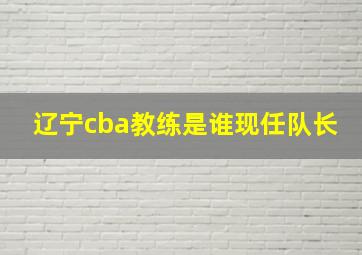 辽宁cba教练是谁现任队长