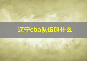 辽宁cba队伍叫什么