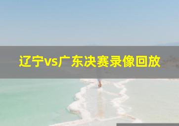 辽宁vs广东决赛录像回放