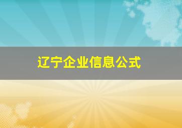 辽宁企业信息公式