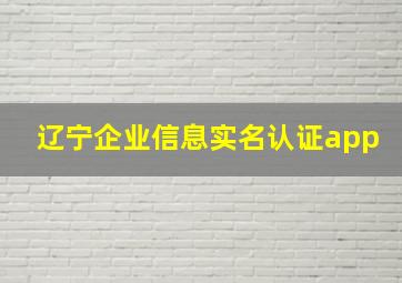 辽宁企业信息实名认证app