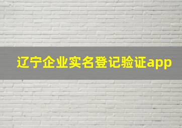 辽宁企业实名登记验证app