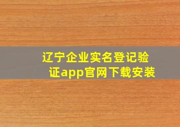 辽宁企业实名登记验证app官网下载安装