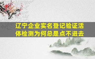 辽宁企业实名登记验证活体检测为何总是点不进去