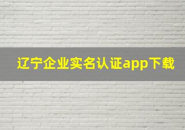 辽宁企业实名认证app下载