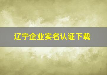 辽宁企业实名认证下载