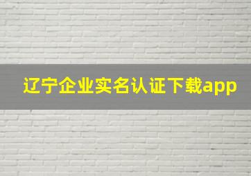 辽宁企业实名认证下载app