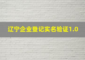 辽宁企业登记实名验证1.0