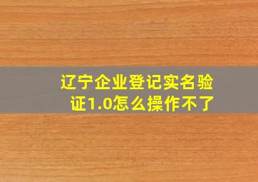 辽宁企业登记实名验证1.0怎么操作不了