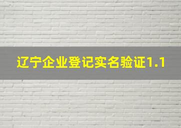 辽宁企业登记实名验证1.1