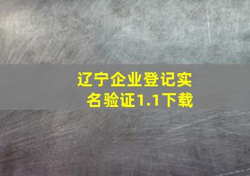 辽宁企业登记实名验证1.1下载