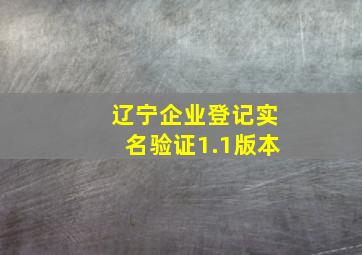 辽宁企业登记实名验证1.1版本