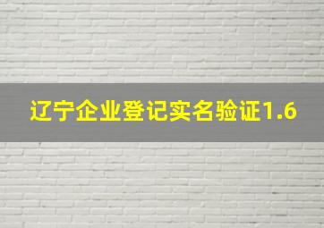 辽宁企业登记实名验证1.6