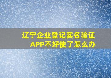 辽宁企业登记实名验证APP不好使了怎么办