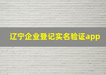 辽宁企业登记实名验证app