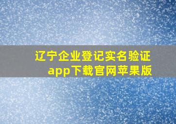 辽宁企业登记实名验证app下载官网苹果版