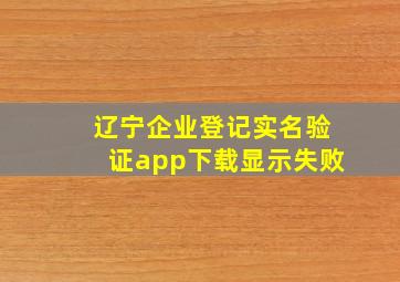 辽宁企业登记实名验证app下载显示失败