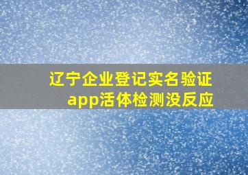 辽宁企业登记实名验证app活体检测没反应