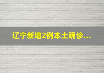 辽宁新增2例本土确诊...