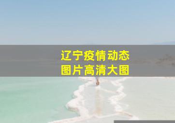 辽宁疫情动态图片高清大图