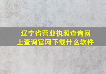 辽宁省营业执照查询网上查询官网下载什么软件