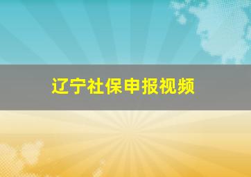 辽宁社保申报视频