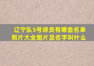 辽宁队5号球员有哪些名单照片大全图片及名字叫什么