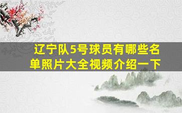 辽宁队5号球员有哪些名单照片大全视频介绍一下