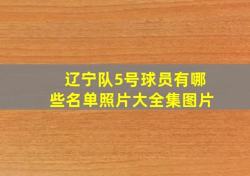 辽宁队5号球员有哪些名单照片大全集图片