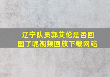 辽宁队员郭艾伦是否回国了呢视频回放下载网站