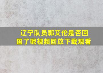 辽宁队员郭艾伦是否回国了呢视频回放下载观看