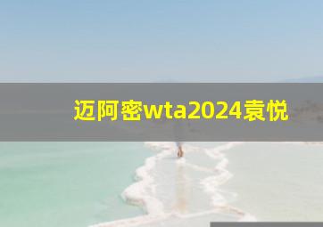 迈阿密wta2024袁悦