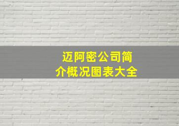 迈阿密公司简介概况图表大全