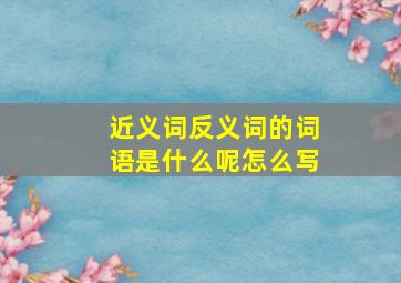 近义词反义词的词语是什么呢怎么写