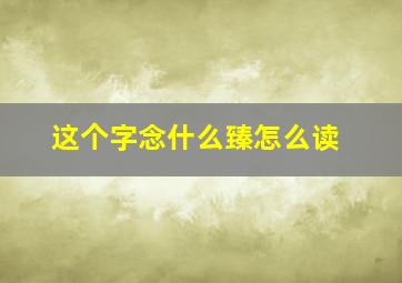 这个字念什么臻怎么读