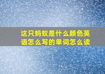 这只蚂蚁是什么颜色英语怎么写的单词怎么读