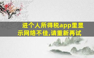 进个人所得税app里显示网络不佳,请重新再试