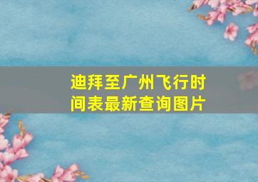 迪拜至广州飞行时间表最新查询图片