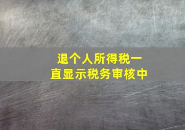 退个人所得税一直显示税务审核中